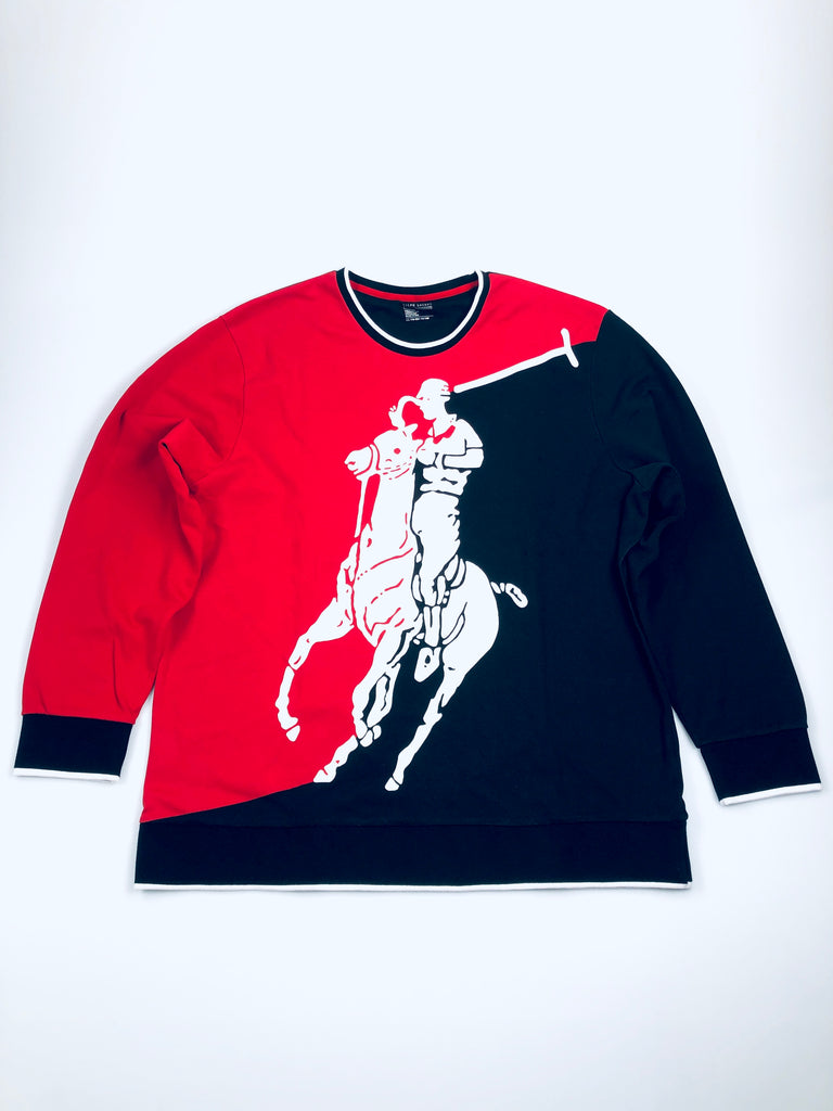 POLO RALPH LAUREN LIMITED PWING COLORBLOCKED GRAPHIC LONG SLEEVE T-SHIRT - Flashy Deals Store